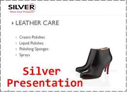 Silver Presentation